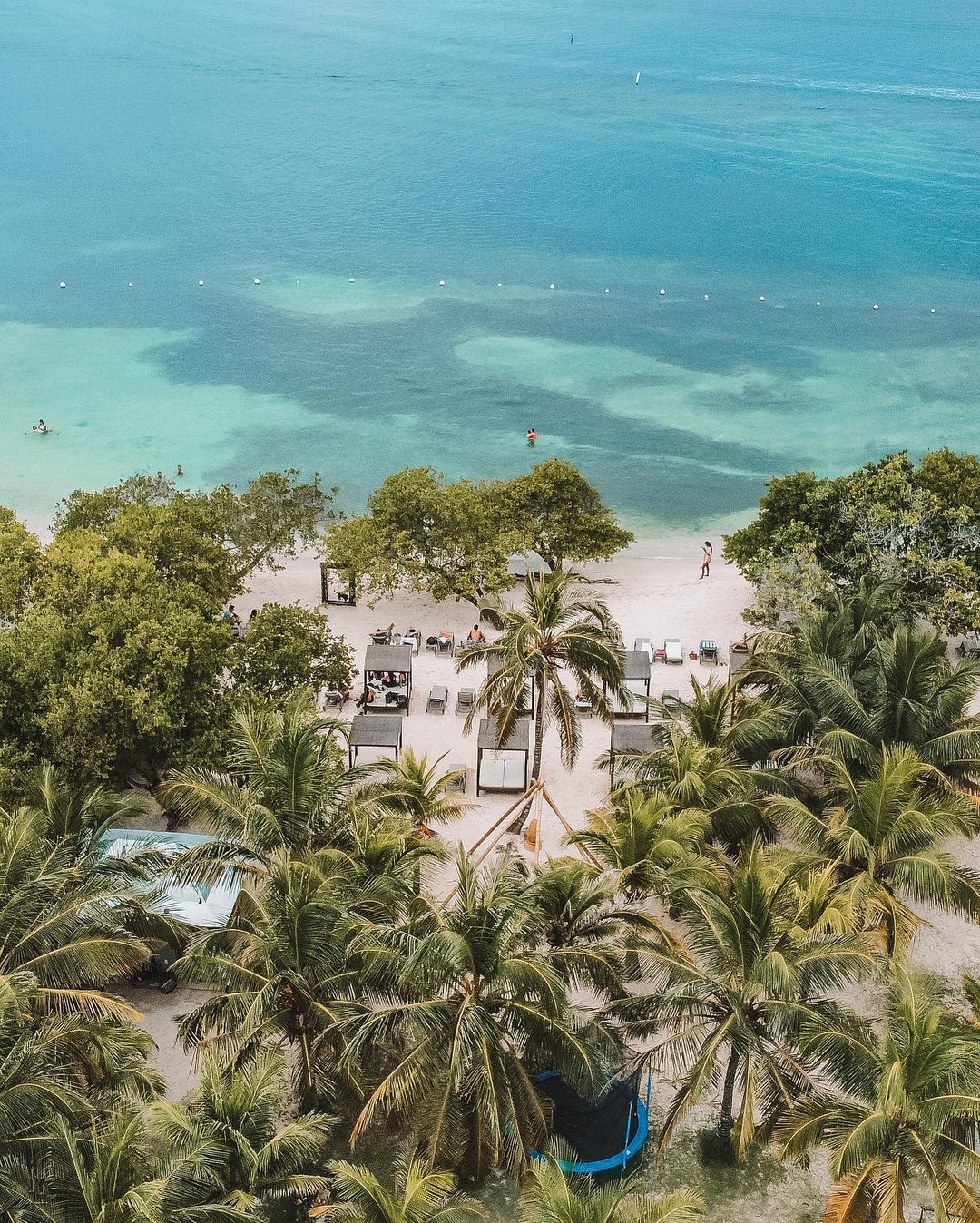 Tours and travel experiences in Cartagena – Juan Ballena | Travel Experiences in Cartagena