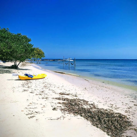 Barú Eco Beach - JUAN BALLENA