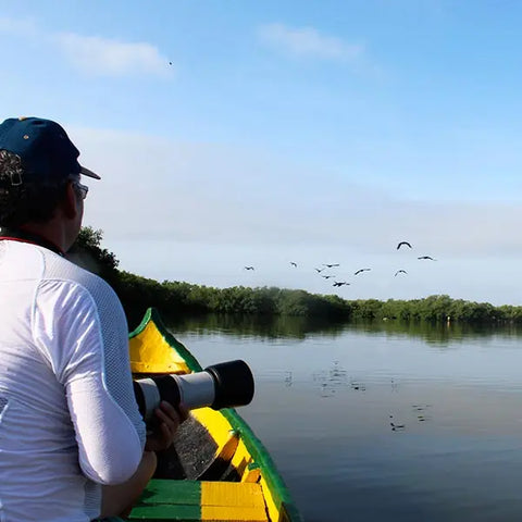 Bird watching in La Boquilla - Juan Ballena | Travel Experiences in Cartagena