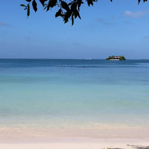 Rosario Islands day trip - Islabela - Juan Ballena | Travel Experiences in Cartagena