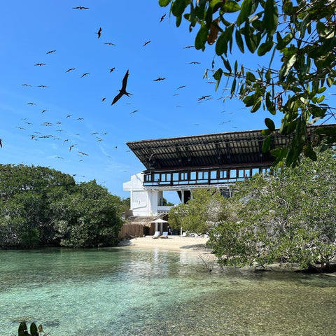 Top 3 Islas del Rosario
