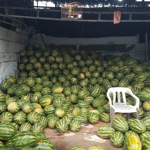 Bazurto Private Market Tour in Cartagena