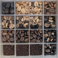 Colombian Coffee Tasting Brew Methods