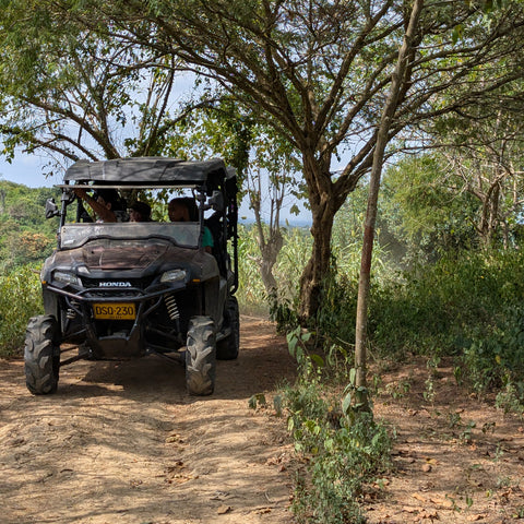Ecotourism-tour-birds-sanctuary-in-cartagena