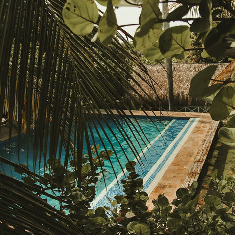 Fenix Beach Club facilities.
 Access to the beachfront area and freshwater swimming pool.