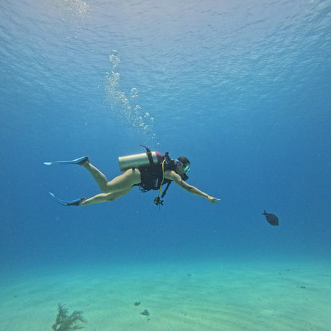 Mergulho guiado de aproximadamente 50 minutos