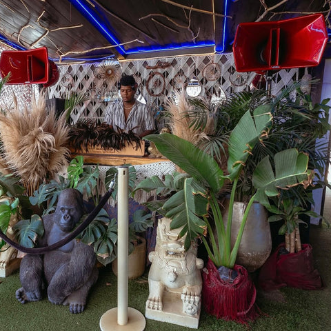 Praia exclusiva no Bora Bora Beach Club saindo de Cartagena