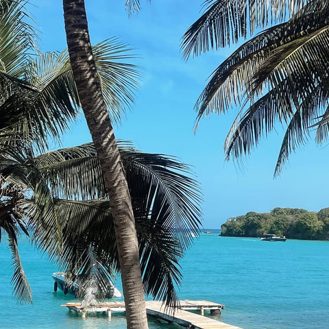 best beach clubs in Rosario Islands