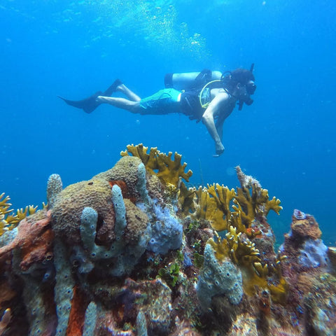 Scuba diver exploring a coral reef underwater in Baru