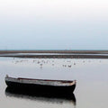 Bird watching in La Boquilla - Juan Ballena | Travel Experiences in Cartagena