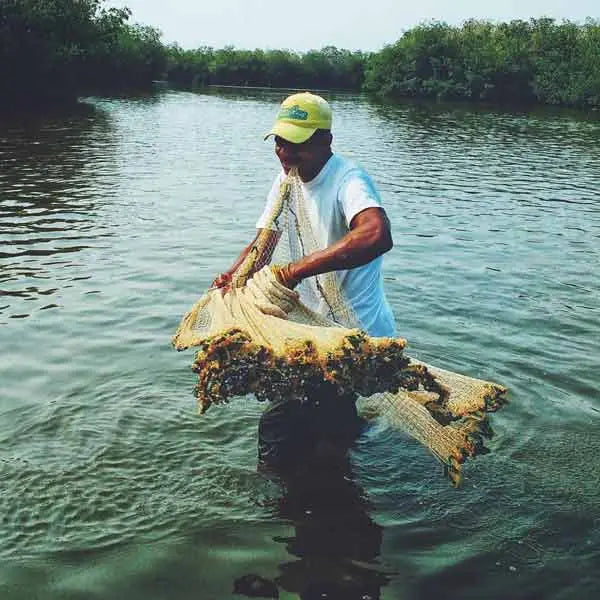 Mangrove Fishing Tour In La Boquilla