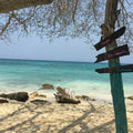 Private Transfer from Cartagena to Playa Blanca in Baru