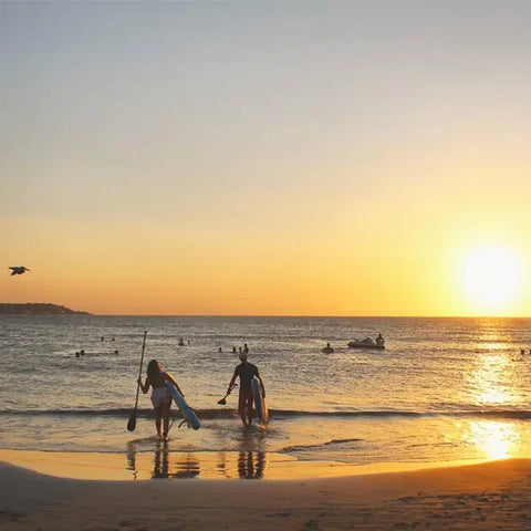 Stand-up Paddle Boarding sunset Glow Tour - Juan Ballena | Travel Experiences in Cartagena