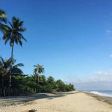Cartagena to Santa Marta or Tayrona Shared Transfer - Juan Ballena | Travel Experiences in Cartagena