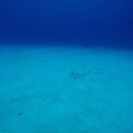 Scuba Diving in San Andres - Juan Ballena | Travel Experiences in Cartagena