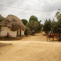 Tour to Palenque: The Other History Of Cartagena - Juan Ballena | Travel Experiences in Cartagena