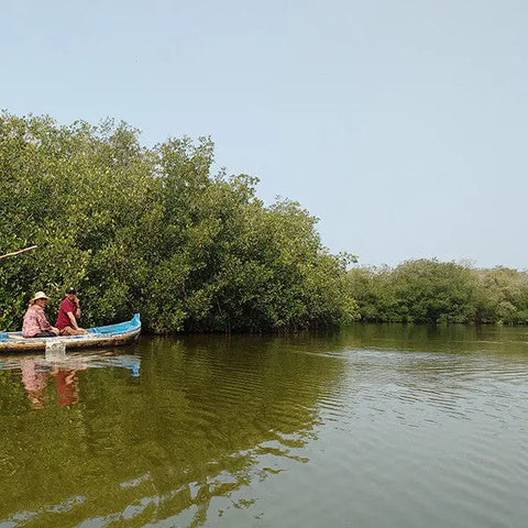 Mangrove Fishing Tour In La Boquilla - Juan Ballena | Travel Experiences in Cartagena